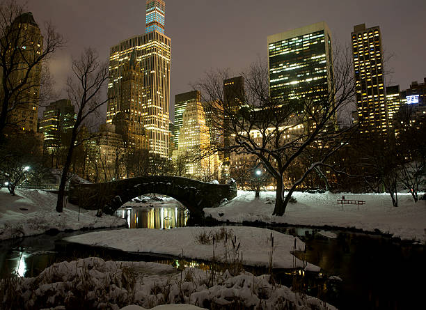 istock Central park in New York City 473448446