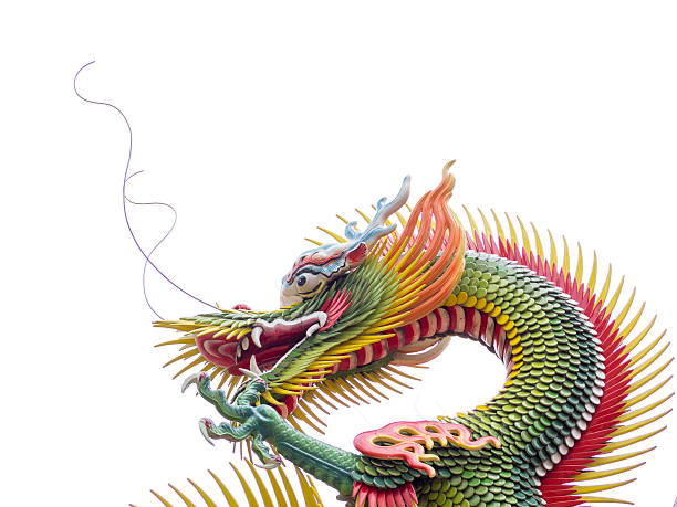 colorful chinese dragon on white background