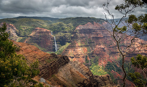 waimea kanion kauai, hawaje - kauai tropical climate green travel destinations zdjęcia i obrazy z banku zdjęć