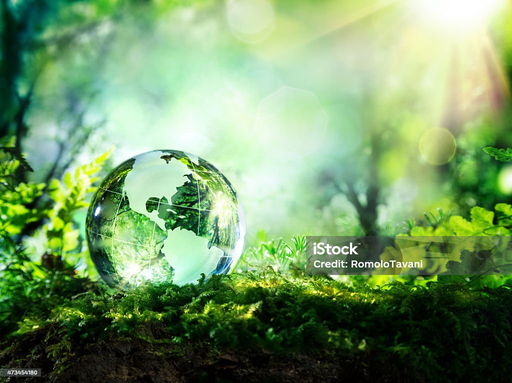 Usa globe resting in a forest - environment concept glass planet in a forest with sunshine - Usa map Globe - Navigational Equipment Stock Photo