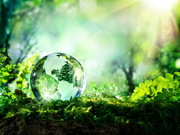 Usa globe resting in a forest - environment concept glass planet in a forest with sunshine - Usa map planet globe sphere earth stock pictures, royalty-free photos & images