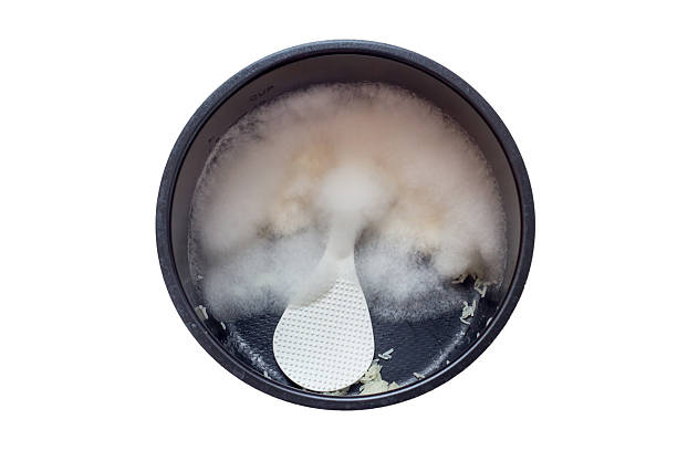 istock mold in pot cook rice on white background 473455822
