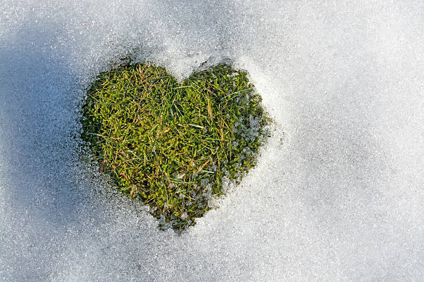 istock Snow melting in the shape of a heart 473458758