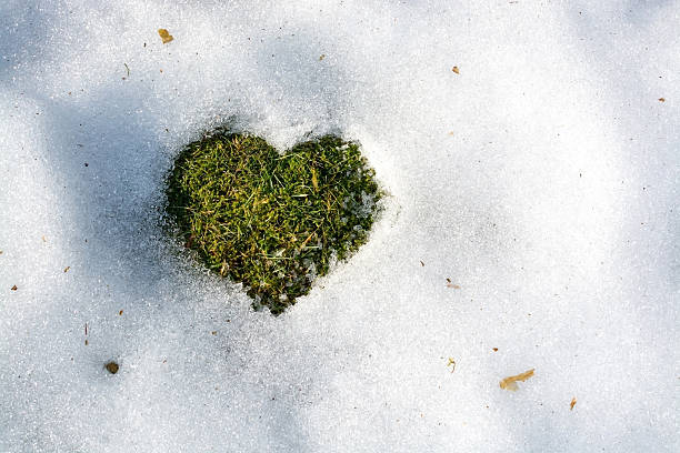 istock Snow melting in the shape of a heart 473458762