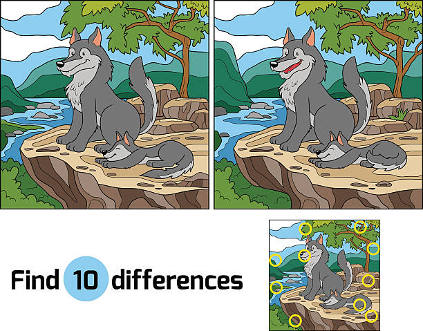 illustrations, cliparts, dessins animés et icônes de trouver des différences (wolf et arrière) - louveteau gris