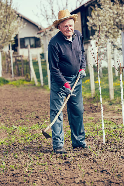 istock Farmer And His Orchard 473463086