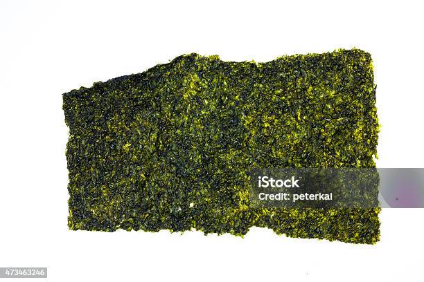 Texture Rumput Laut Latar Belakang Lembaran Rumput Laut Foto Stok - Unduh Gambar Sekarang ...