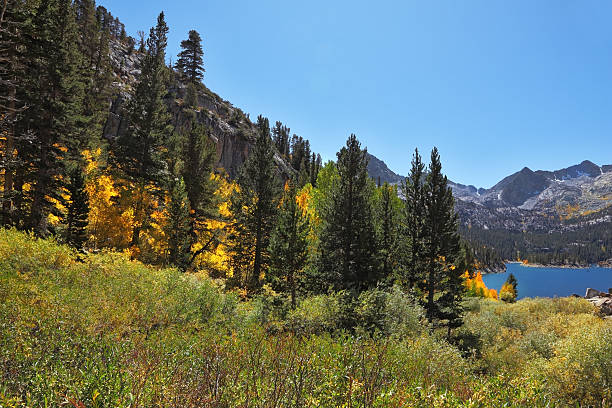 istock Mountain lake with turquoise  water 473463460