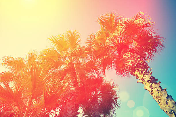 istock Vintage frame with tropic palm trees against sky 473463814