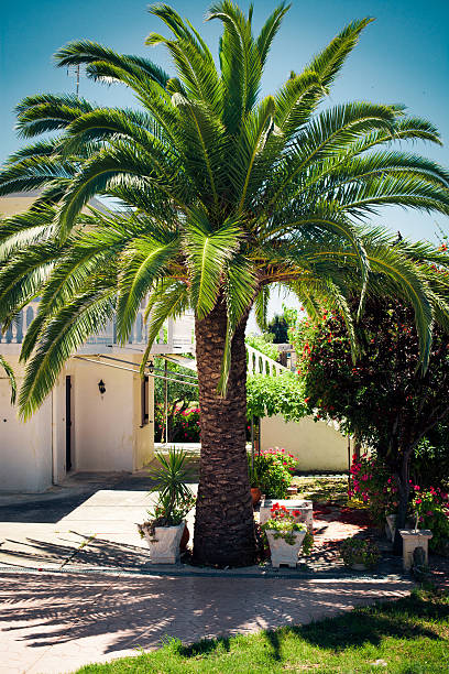 istock Hotel on Zakynthos, Greece 473473632