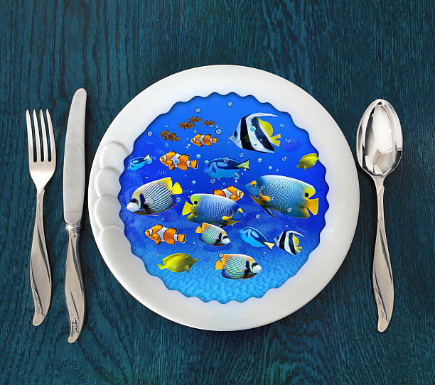 istock Underwater scene on plate. Photomanipulation, concept graphic. 473473650