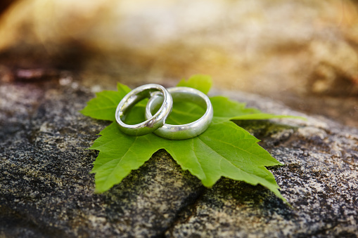 Wedding rings on a green leaf
