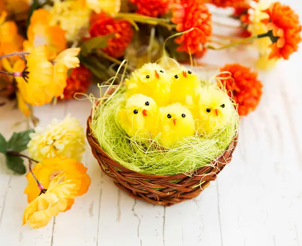 Easter Chickens in a Nest with Colorful Flowers in the Background