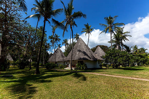 istock Palms on the beach in Mombasa, beach, mombasa 473479444
