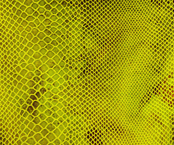 istock Background of green tissue in the mesh 473495654