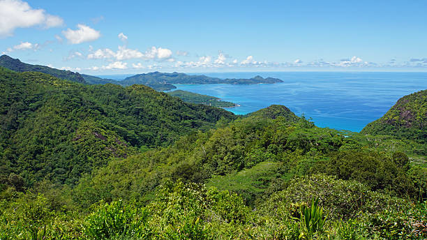 istock mountains of mahe 473495950