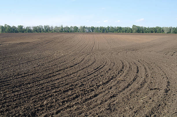 istock Texture of cultivated field 473497022