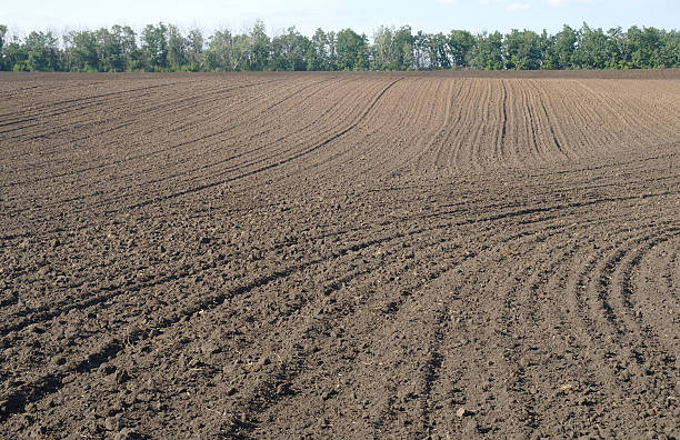 istock Texture of cultivated field 473497042