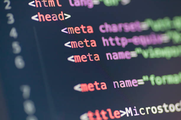 meta tag code html sur écran d'ordinateur - waterbug photos et images de collection
