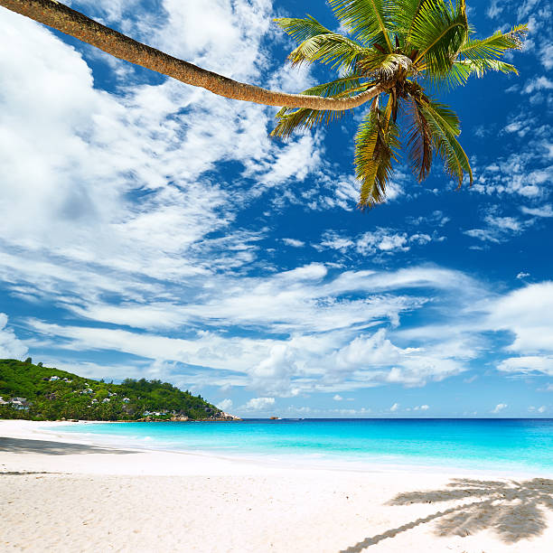 istock Beautiful Anse Intendance beach at Seychelles 473505340