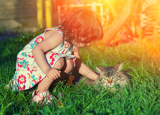istock Little girl stroking a cat 473506130