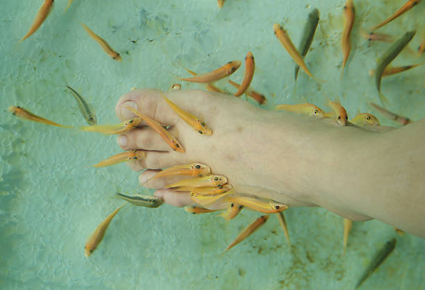 istock Fish Spa Skin Therapy 473508158