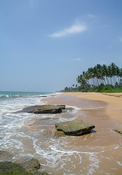 istock Picturesque  tropical beach. Sri Lanka 473508438