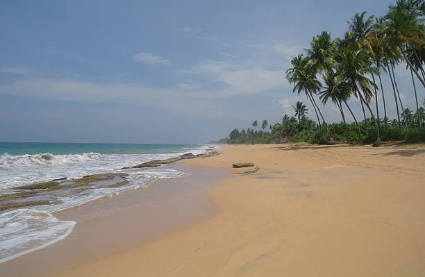 istock Picturesque  tropical beach. Sri Lanka 473508538