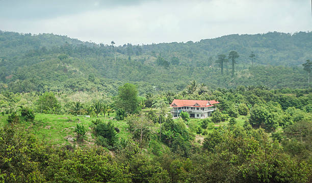 istock cabin in the mountains 473509524