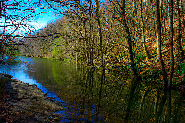 istock Forest and river. Montseny Natural Park. Spain 473509818