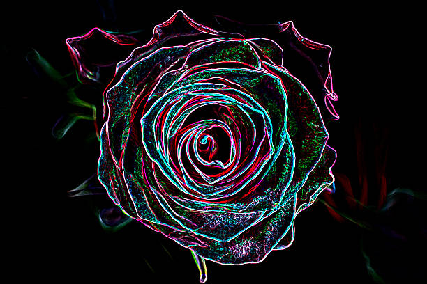 istock Abstract background made of rose flower. 473512074