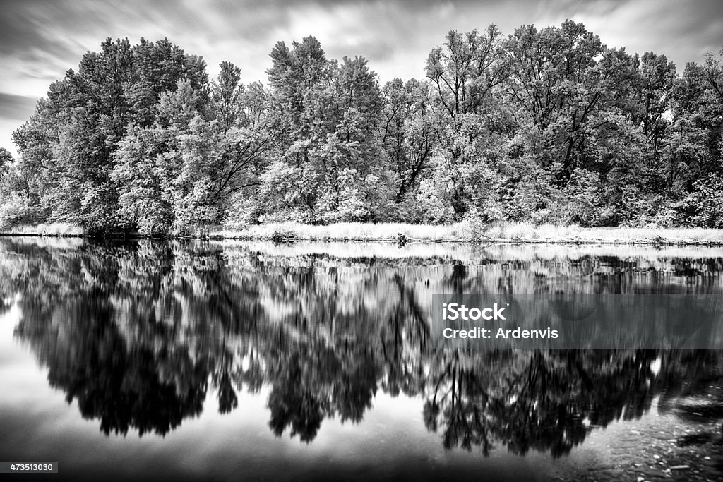 Lunga esposizione a raggi infrarossi Foresta riflette nel fiume d'acqua - Foto stock royalty-free di 2015