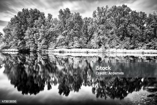 Lunga Esposizione A Raggi Infrarossi Foresta Riflette Nel Fiume Dacqua - Fotografie stock e altre immagini di 2015