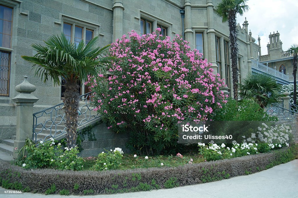 Vorontsov garden in the town of Alupka, Crimea, Ukraine. 2015 Stock Photo
