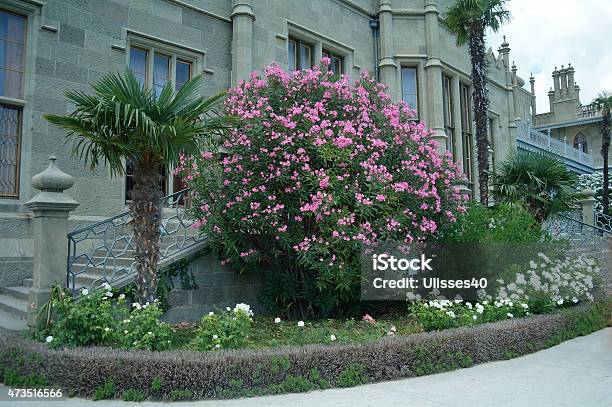 Vorontsov Garden In The Town Of Alupka Crimea Ukraine Stock Photo - Download Image Now