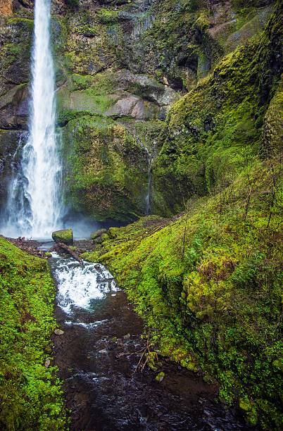 istock Scenic Oregon Waterfallls 473517434