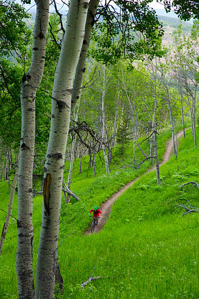 ciclista de montaña en campo - usa action adventure aspen tree fotografías e imágenes de stock