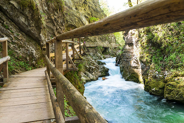 istock Wooden bridge and green river,Vintgar gorge 473528292