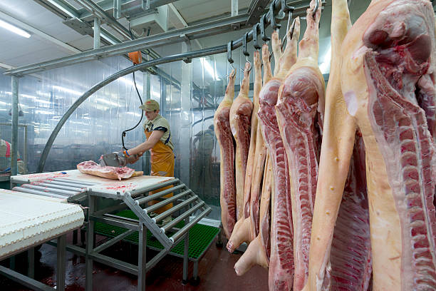 boucher coupe la viande sur l'usine agro-alimentaire - butcher butchers shop slaughterhouse hook photos et images de collection