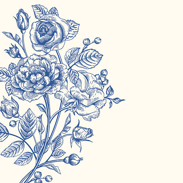 bildbanksillustrationer, clip art samt tecknat material och ikoner med background with a bouquet of roses. - skräpig trädgård