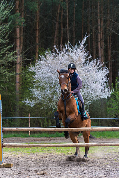 de cavalo pulando - women jumping bouncing spring - fotografias e filmes do acervo