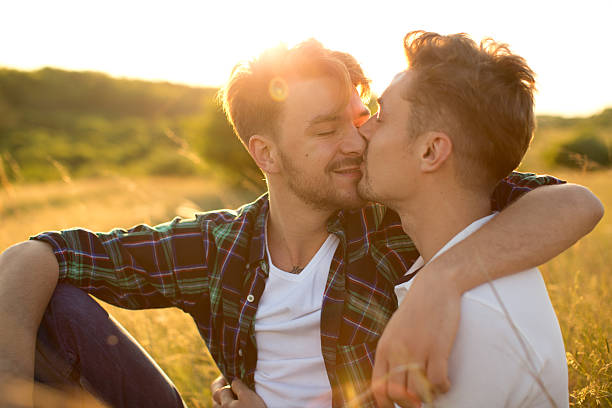 若いカップルのゲイ、meadow ます。 - gay man homosexual men kissing ストックフォトと画像