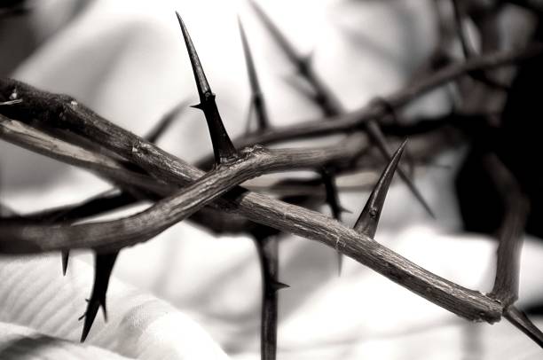 Crown of Thorns--black and white This black and white crown of thorns rests atop a white cloth. Jesus received the crown of thorns during His passion and before His crucifixion.  agnus dei stock pictures, royalty-free photos & images