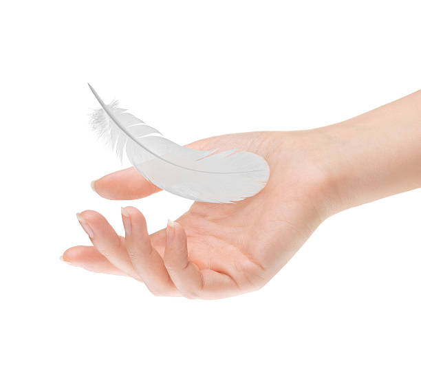 istock feather in female palm on white background 473550472