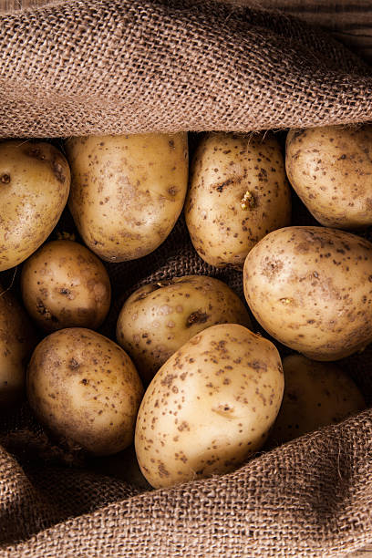 istock Harvest potatoes in burlap sack 473555726