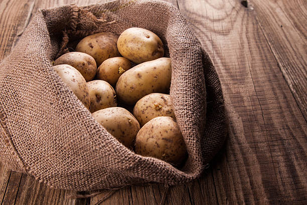 istock Harvest potatoes in burlap sack 473555758