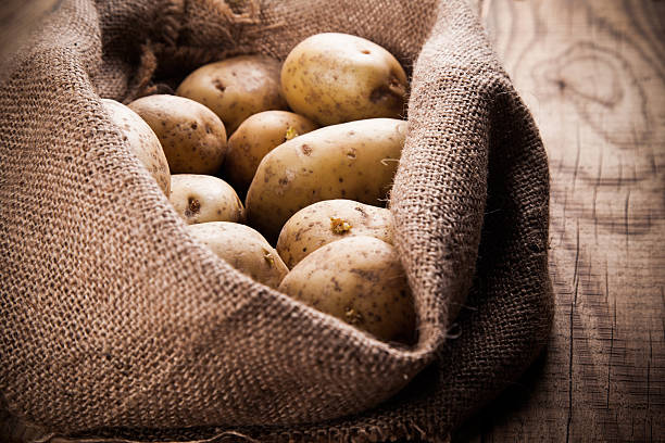 istock Harvest potatoes in burlap sack 473555762