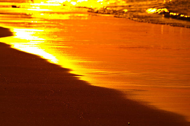 istock Abstract background of The golden sunlight splashed down on the 473557012