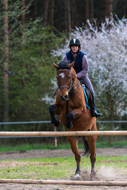 garota treinamento de hipismo - women jumping bouncing spring - fotografias e filmes do acervo