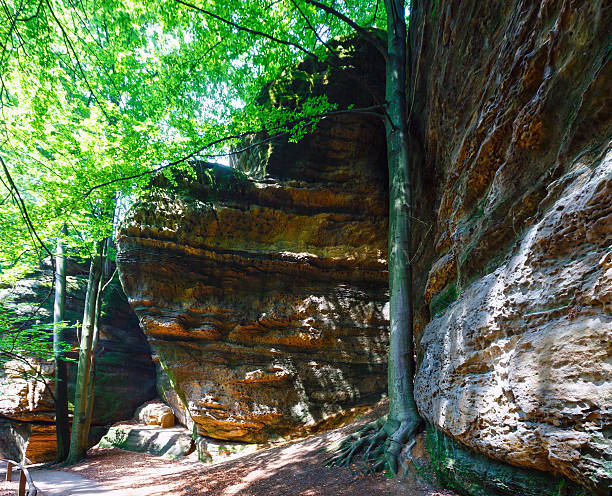 istock Narodni park Ceske Svycarsko summer view. 473565512